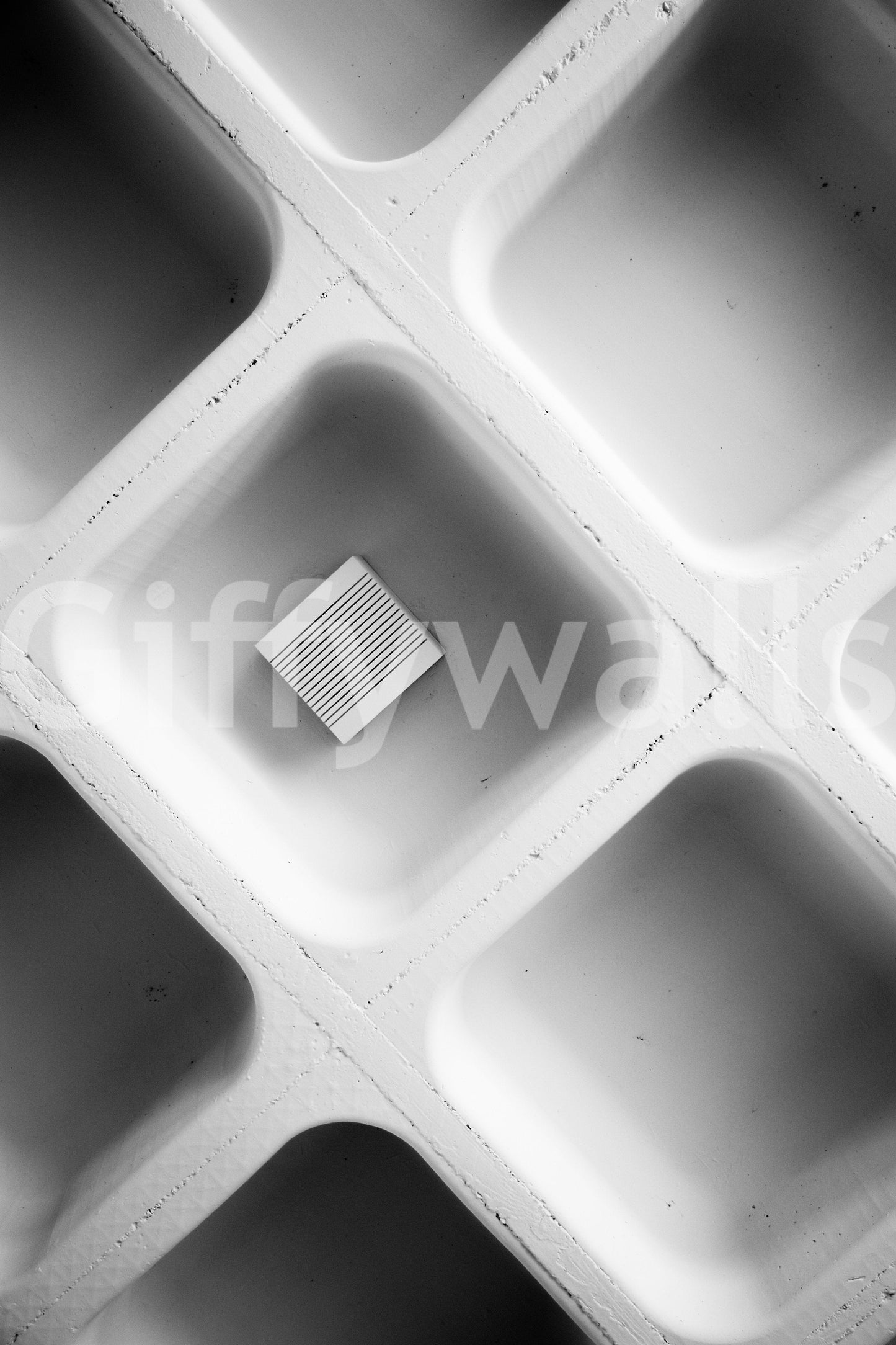 An artistic nature inspired mural for home decor.