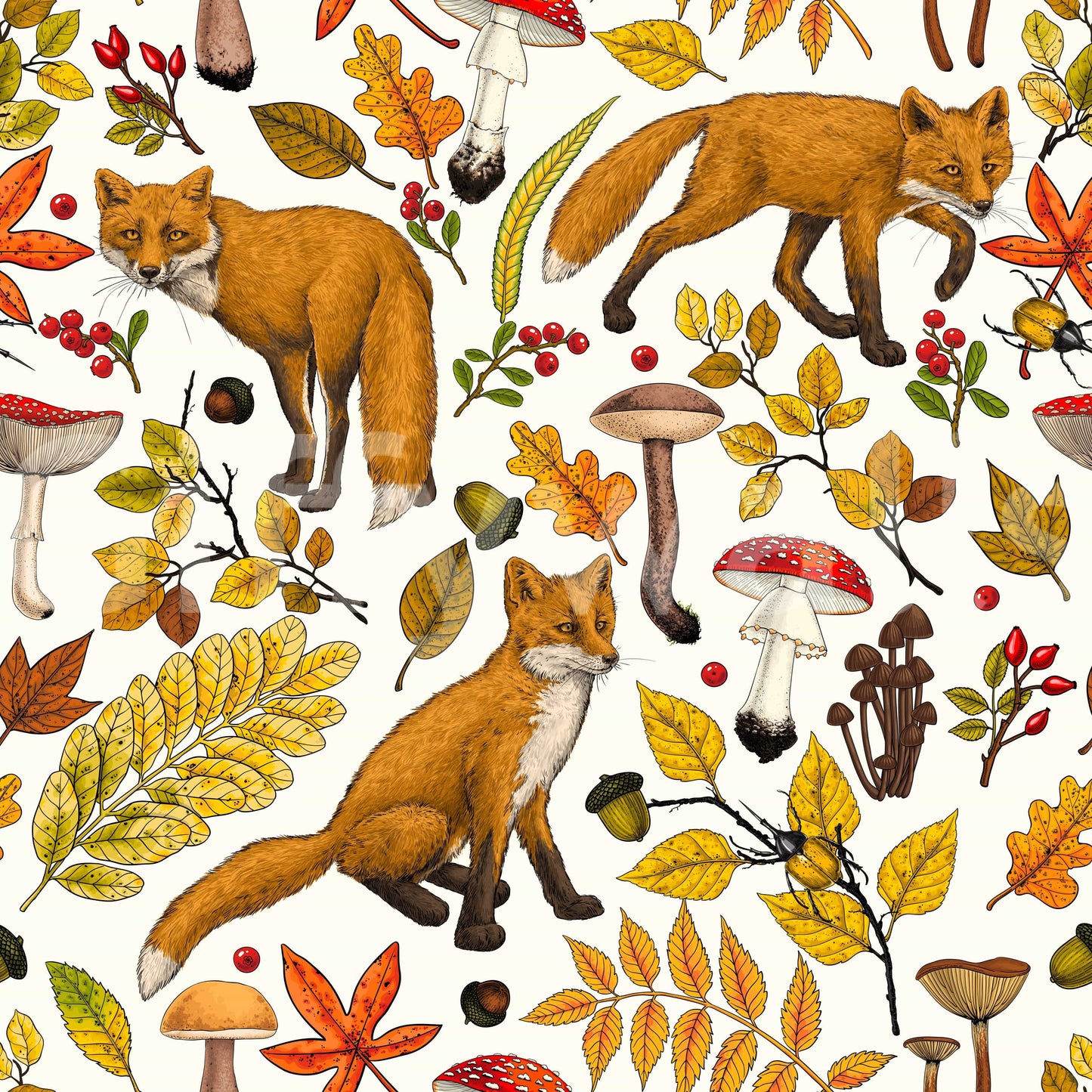 Autumn foxes on natural white Wallpaper