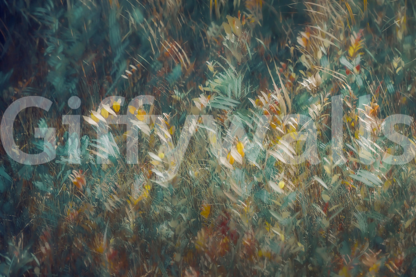 Autumnal Whisper Wall Mural -1930988