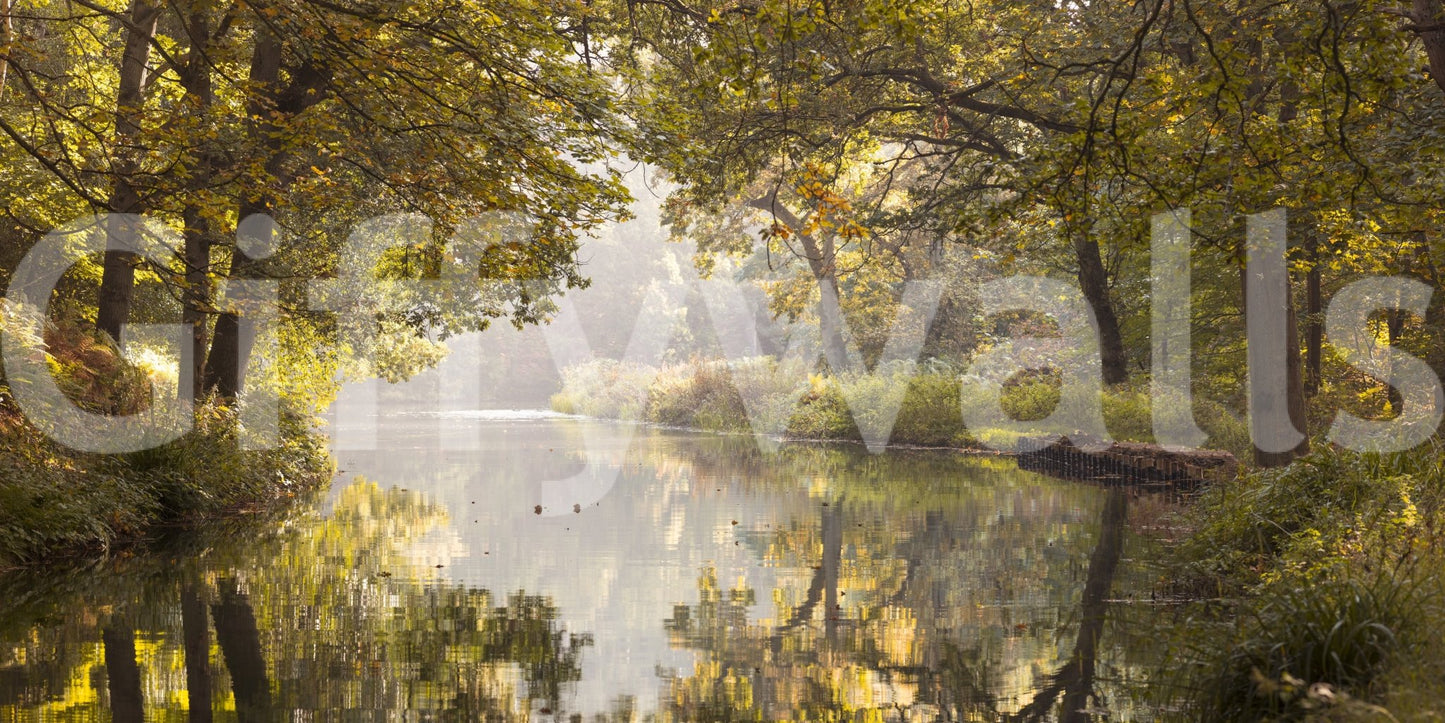 The wallpaper has a smooth, non-reflective matte finish.