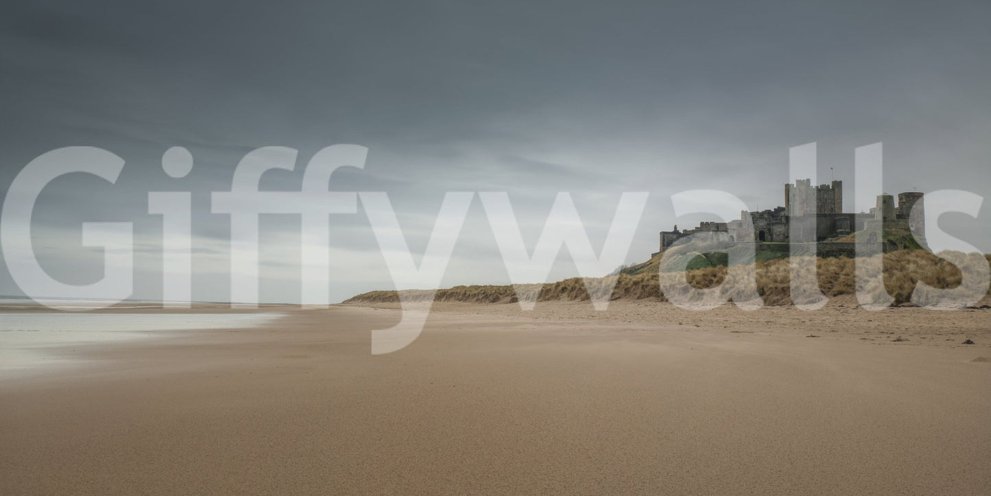 Large feature wall displays coastal wall mural