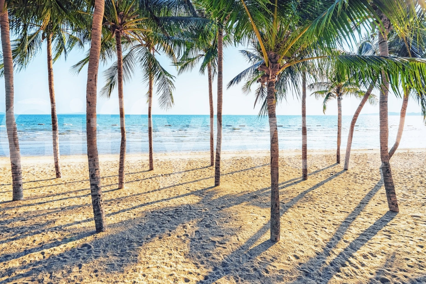 Azure sea background Beach Palm Paradise wallpaper mural art.