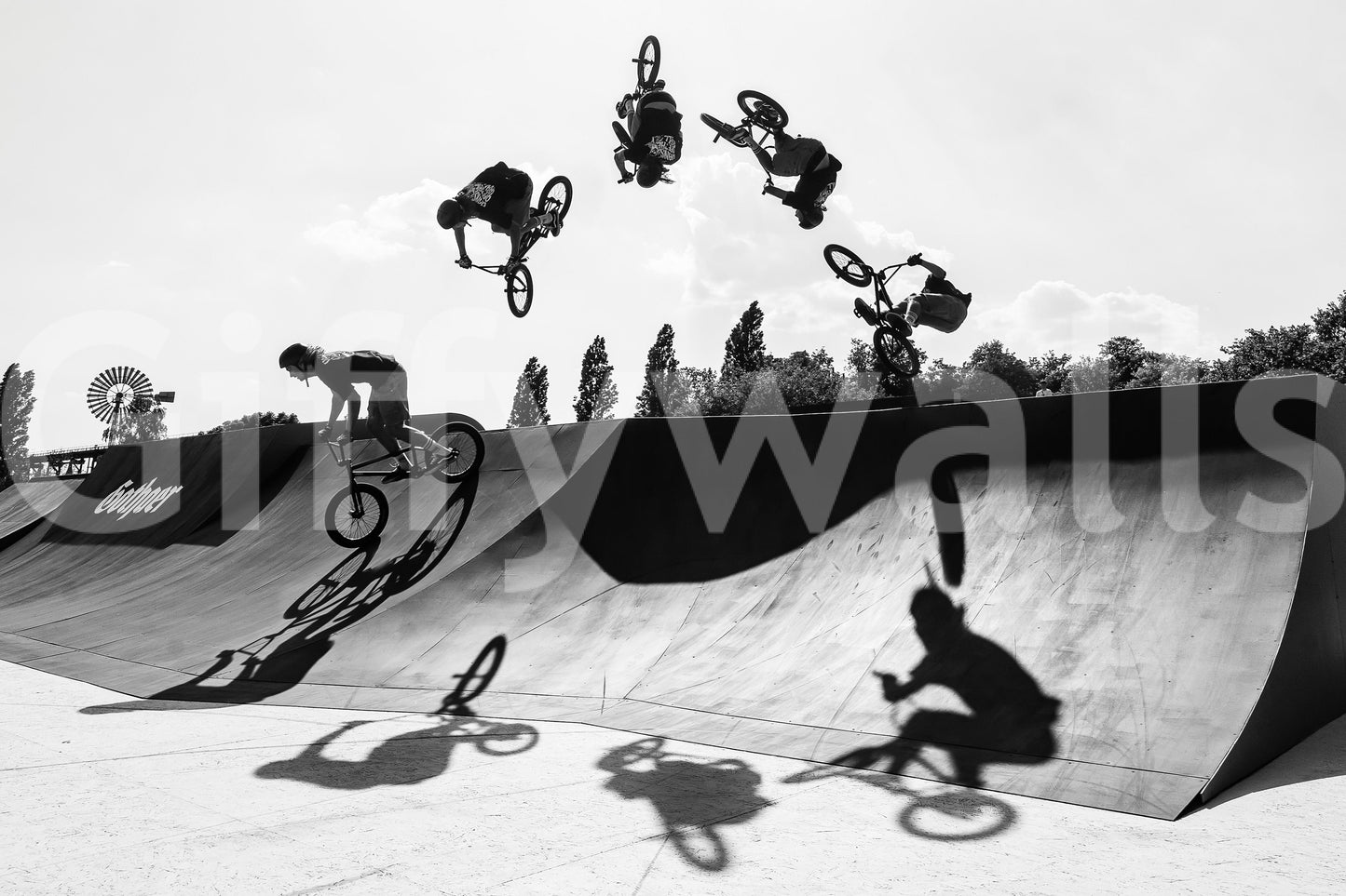 Monochrome BMX: Shadow & Style wallpaper mural shown as a full-wall black-and-white BMX backflip over a skatepark ramp