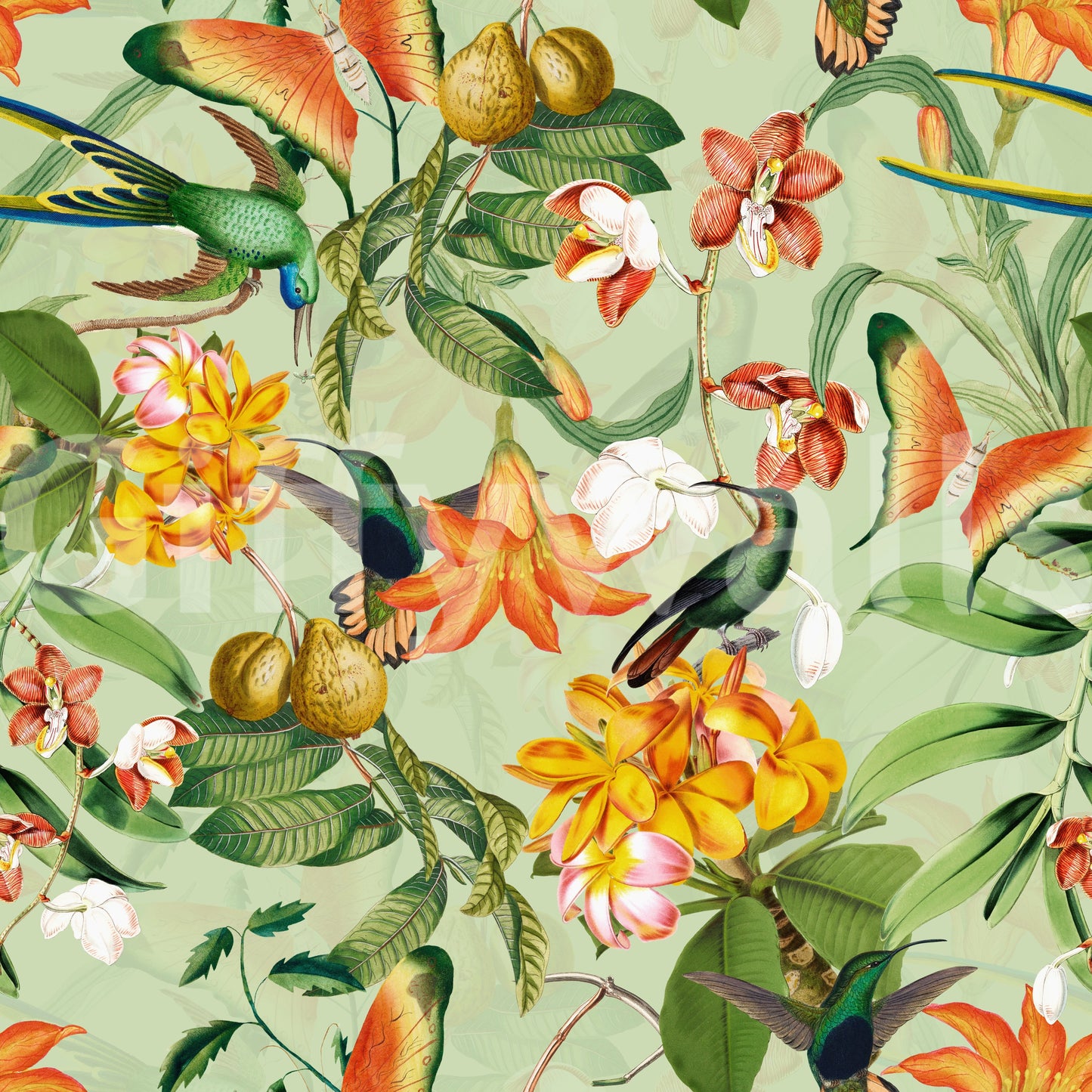 Timeless botanical wallpaper with lively birds and delicate flowers