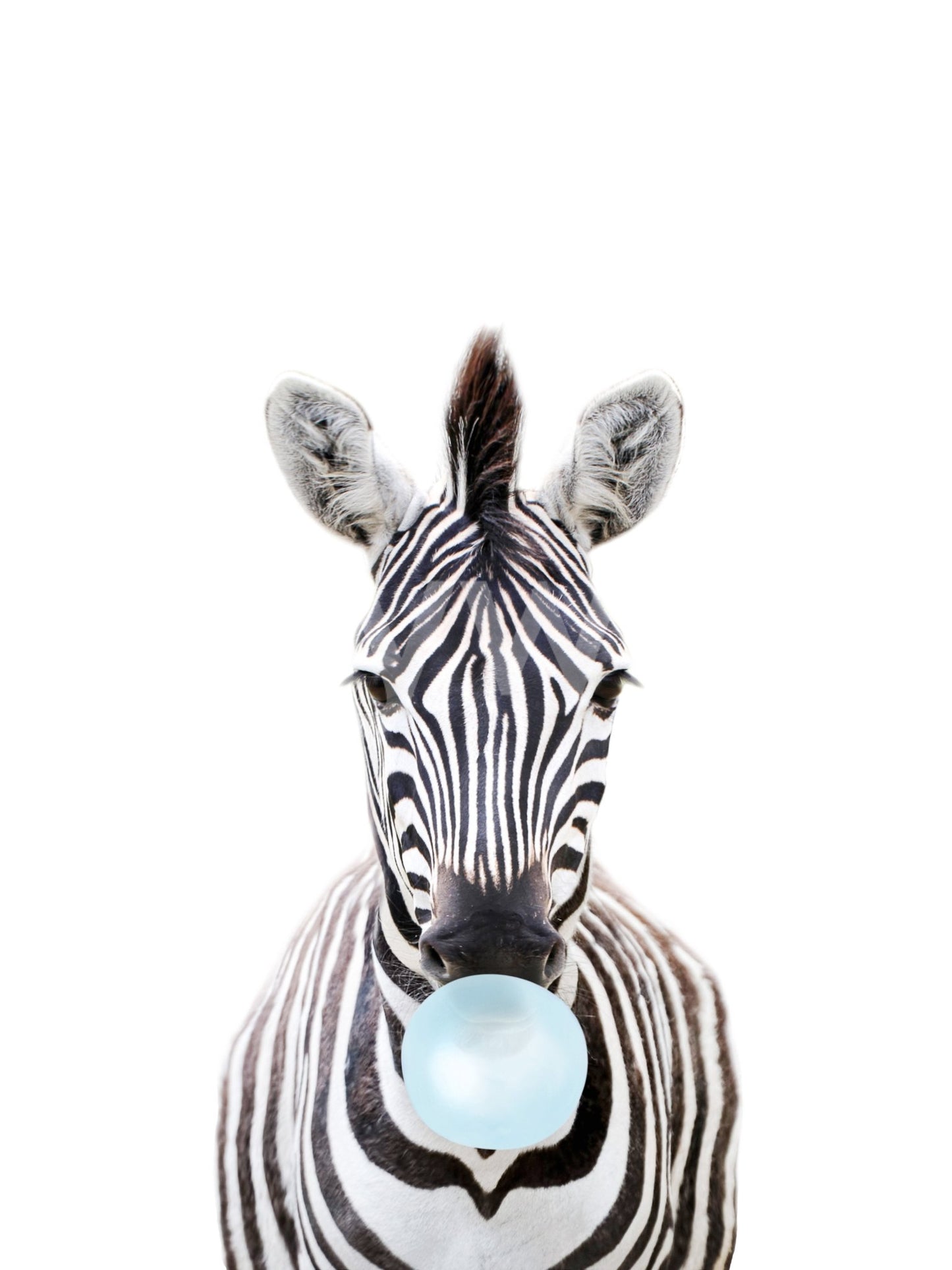 Fun and colorful zebra mural with bubble gum for adding personality.