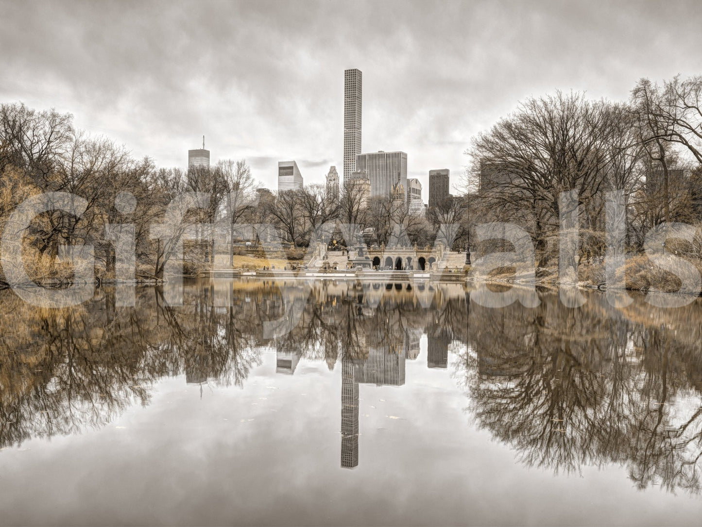 Contrast of Worlds sepia view of Central Park lake reflecting bare trees and skyline shown as a full-wall mural