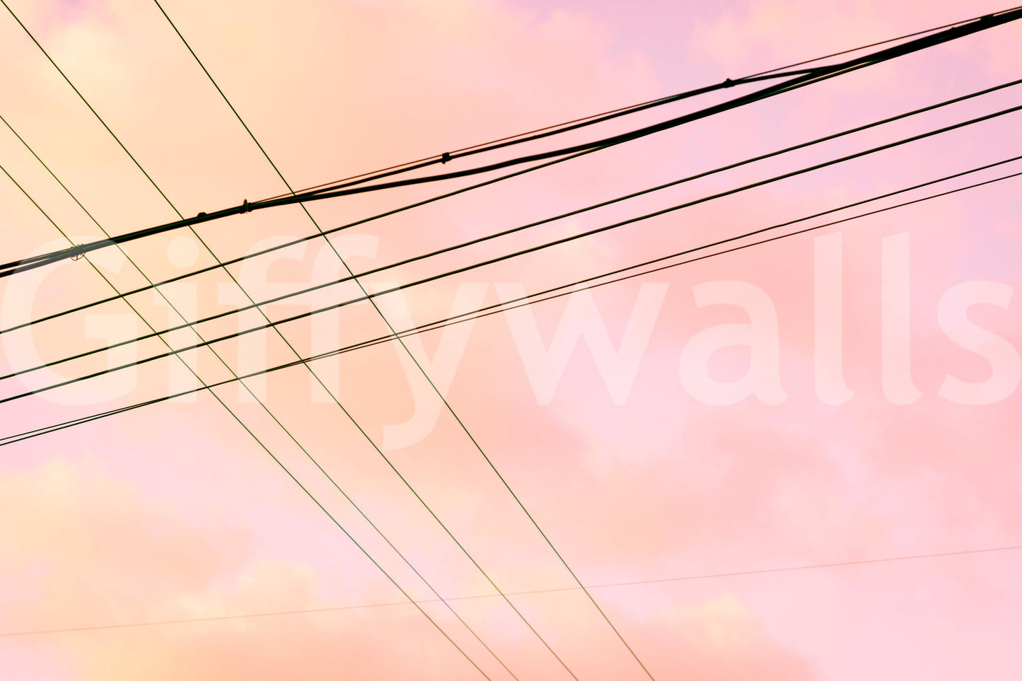 A high-quality minimalist wall mural for walls.