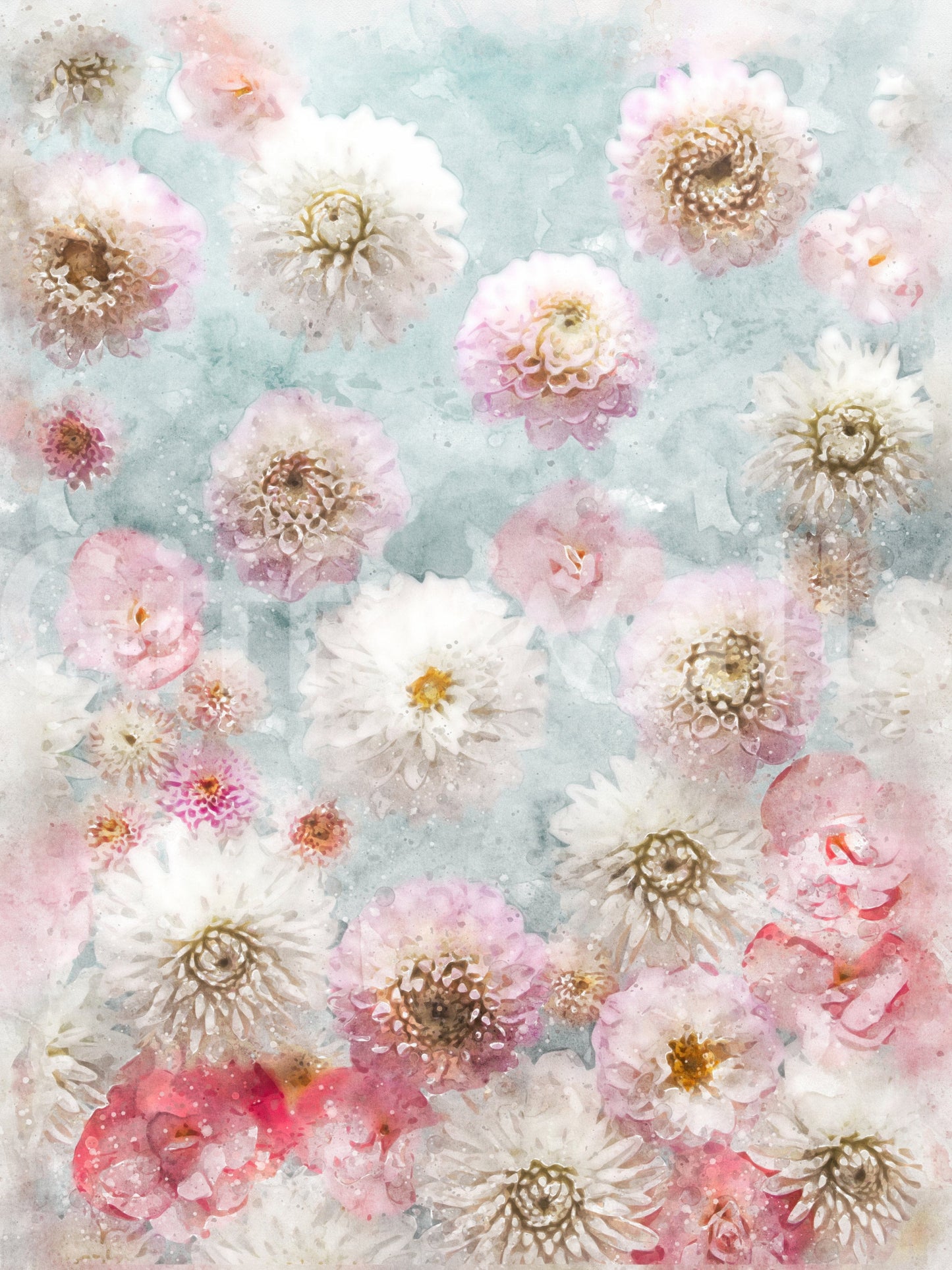 Dahlia Flowers Wall Mural