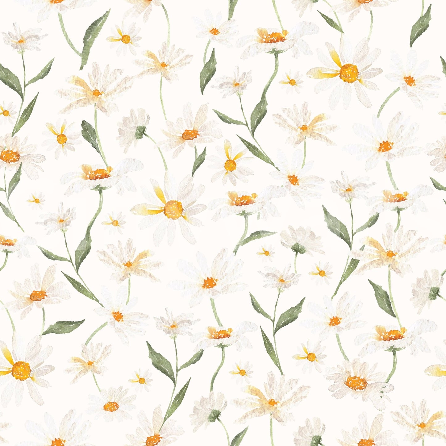 Wall mural natural motif botanical beauty Daisy Dreams decor.