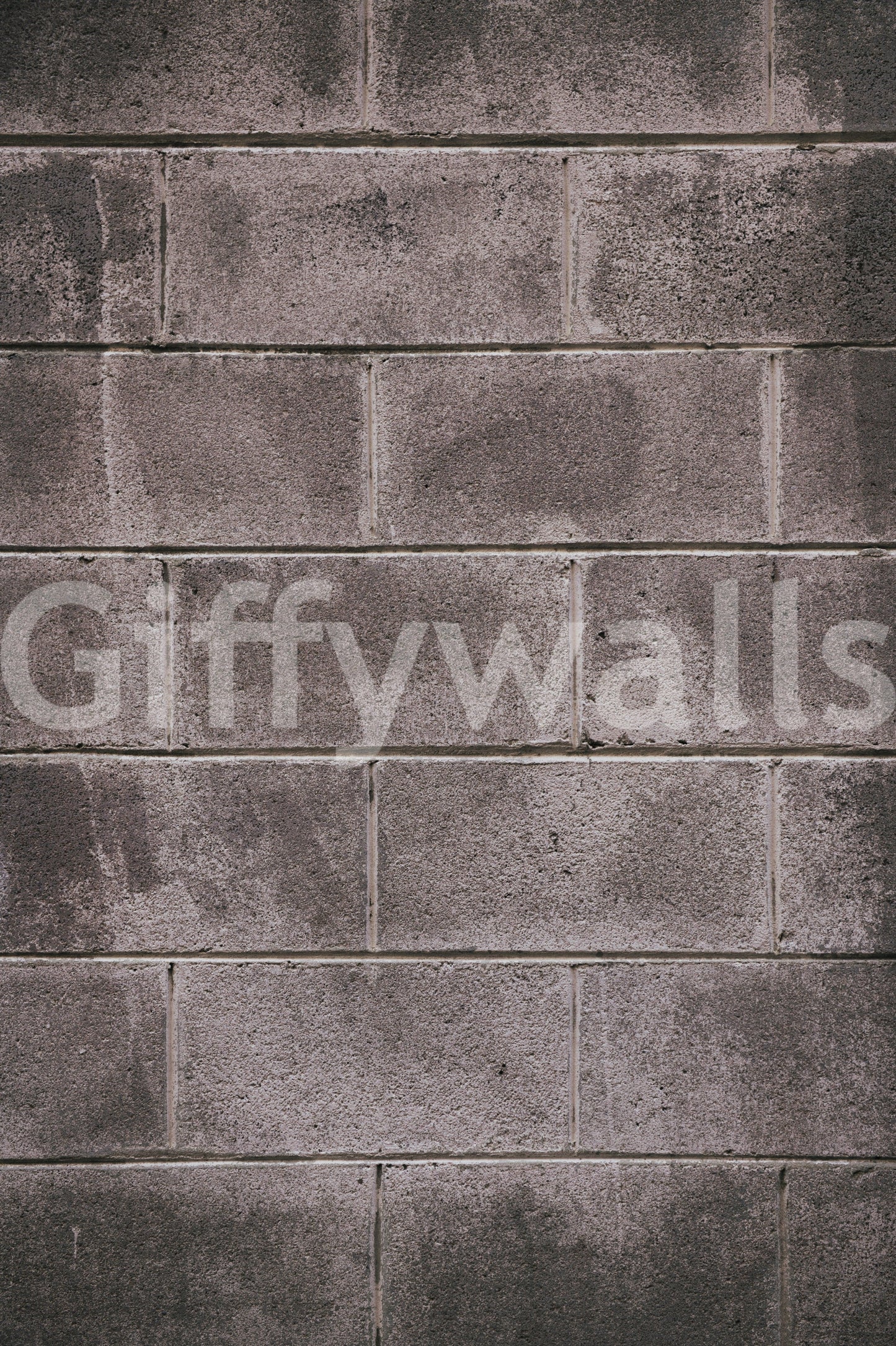 Distressed Walls Wall Mural -2226412