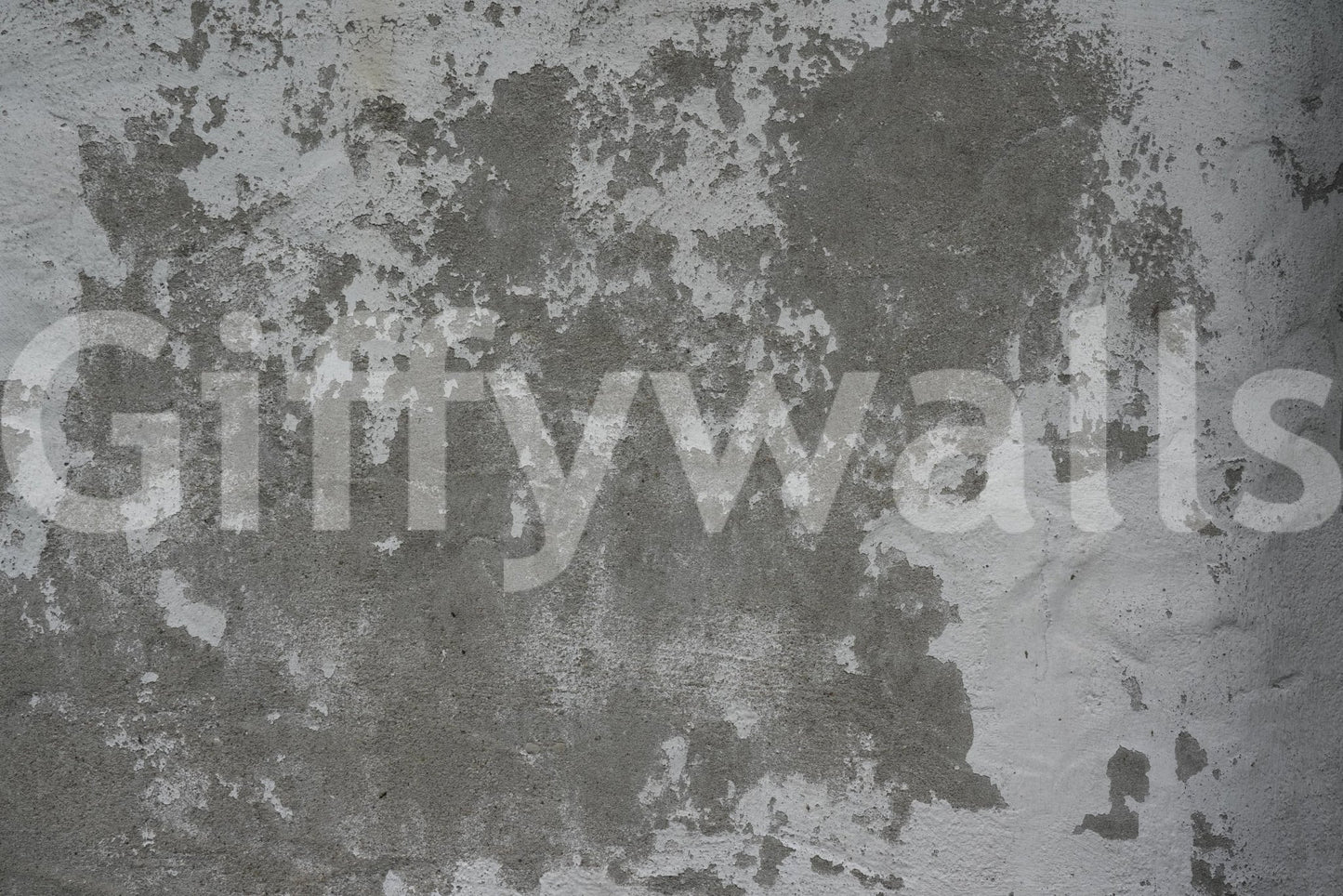 Distressed Wall Mural -2566583