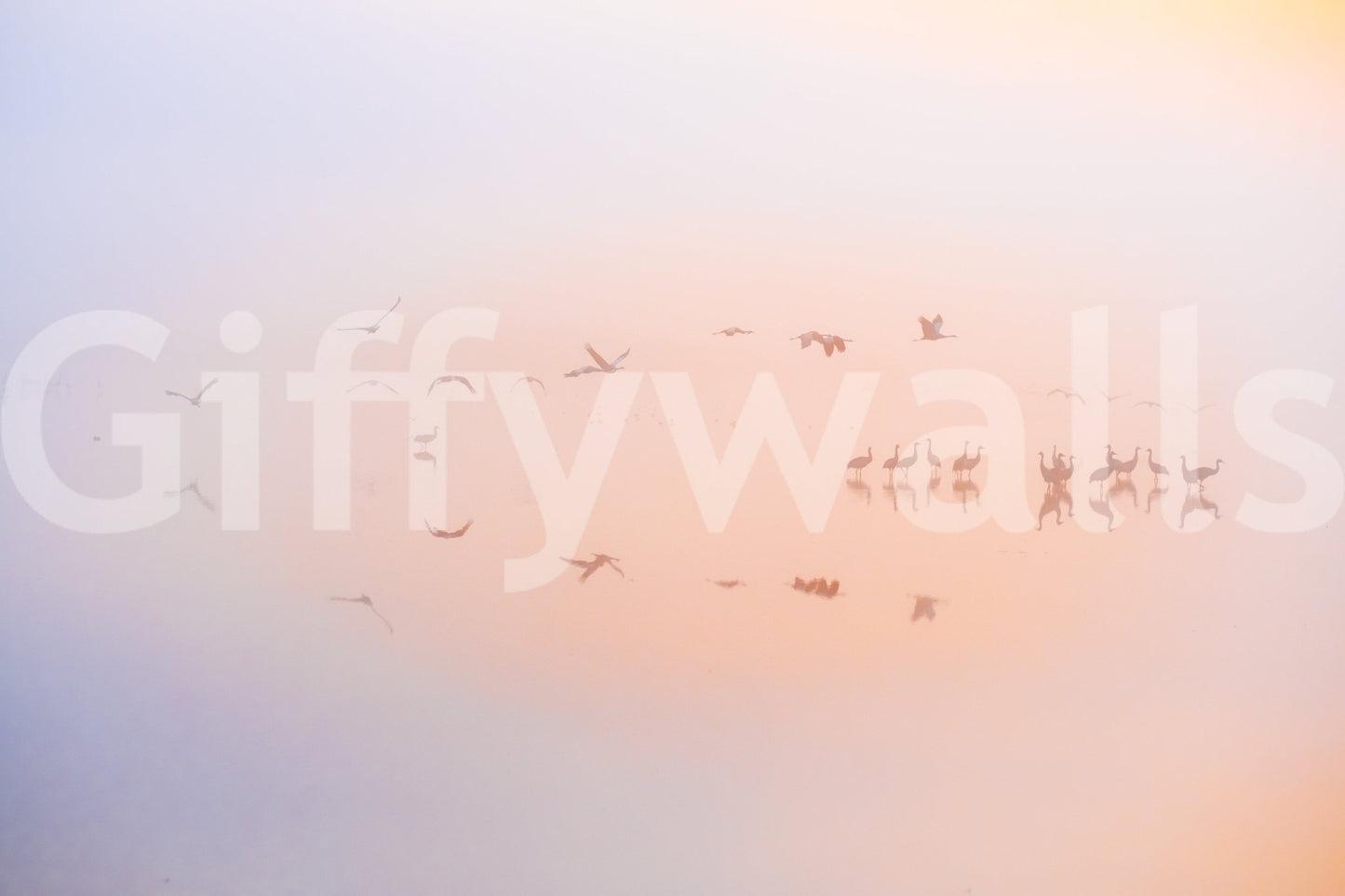 Provides a soothing and artistic backdrop.