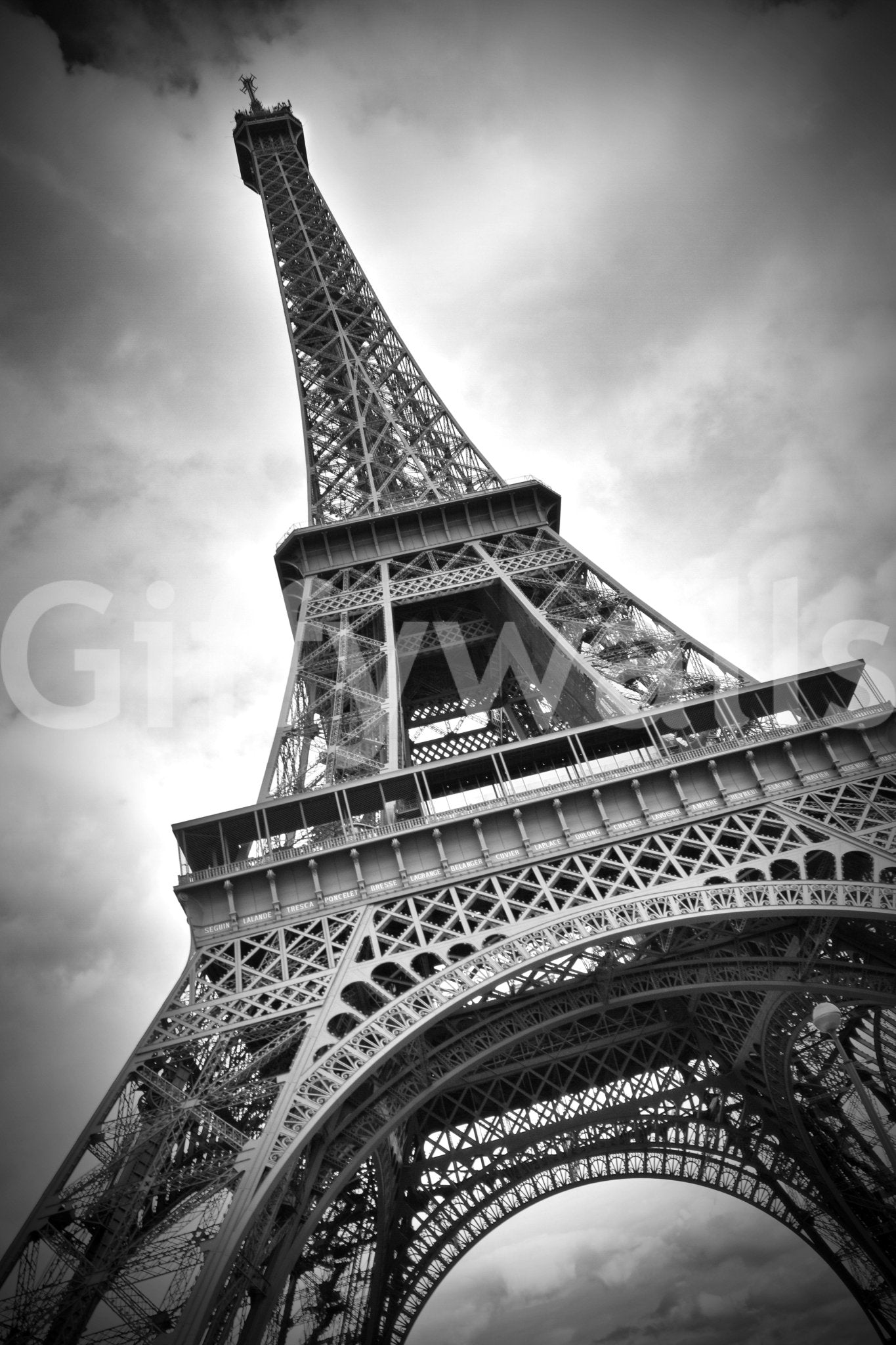 Elegant Eiffel Tower mural in dramatic monochrome