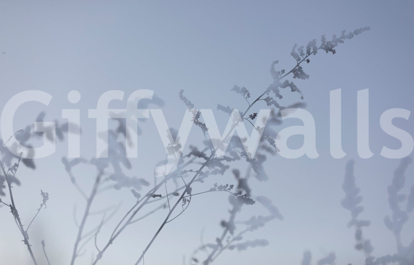 Subtle nature mural wallpaper