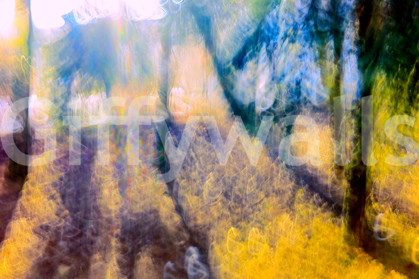 Radiant forest photo wallpaper