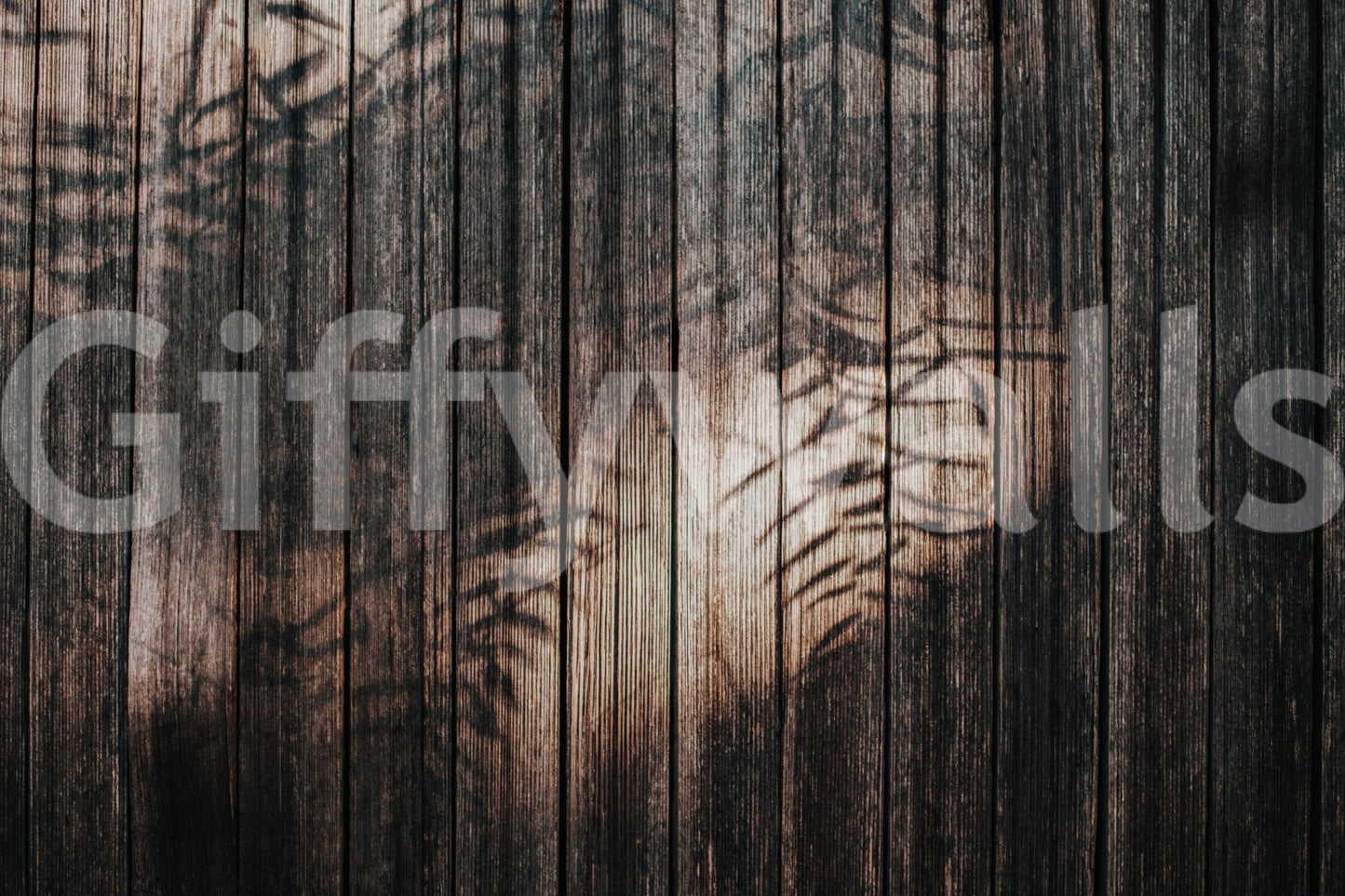 Ethereal Wood Grain wallpaper mural close-up of dark brown planks with soft tropical leaf shadows