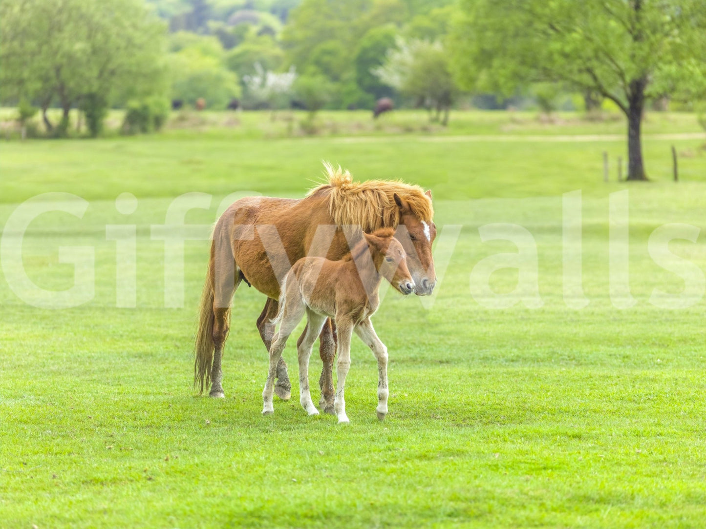 Foal mural in reading corner, watercolor pasture scene, neutral color