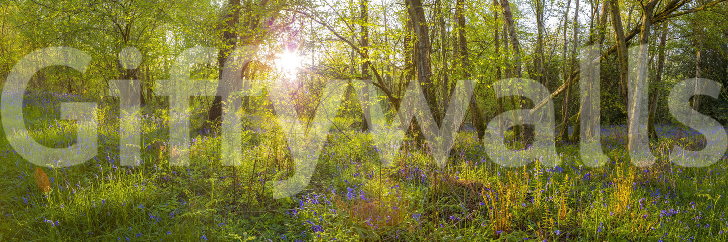 A high-quality serene tree wall mural for walls.