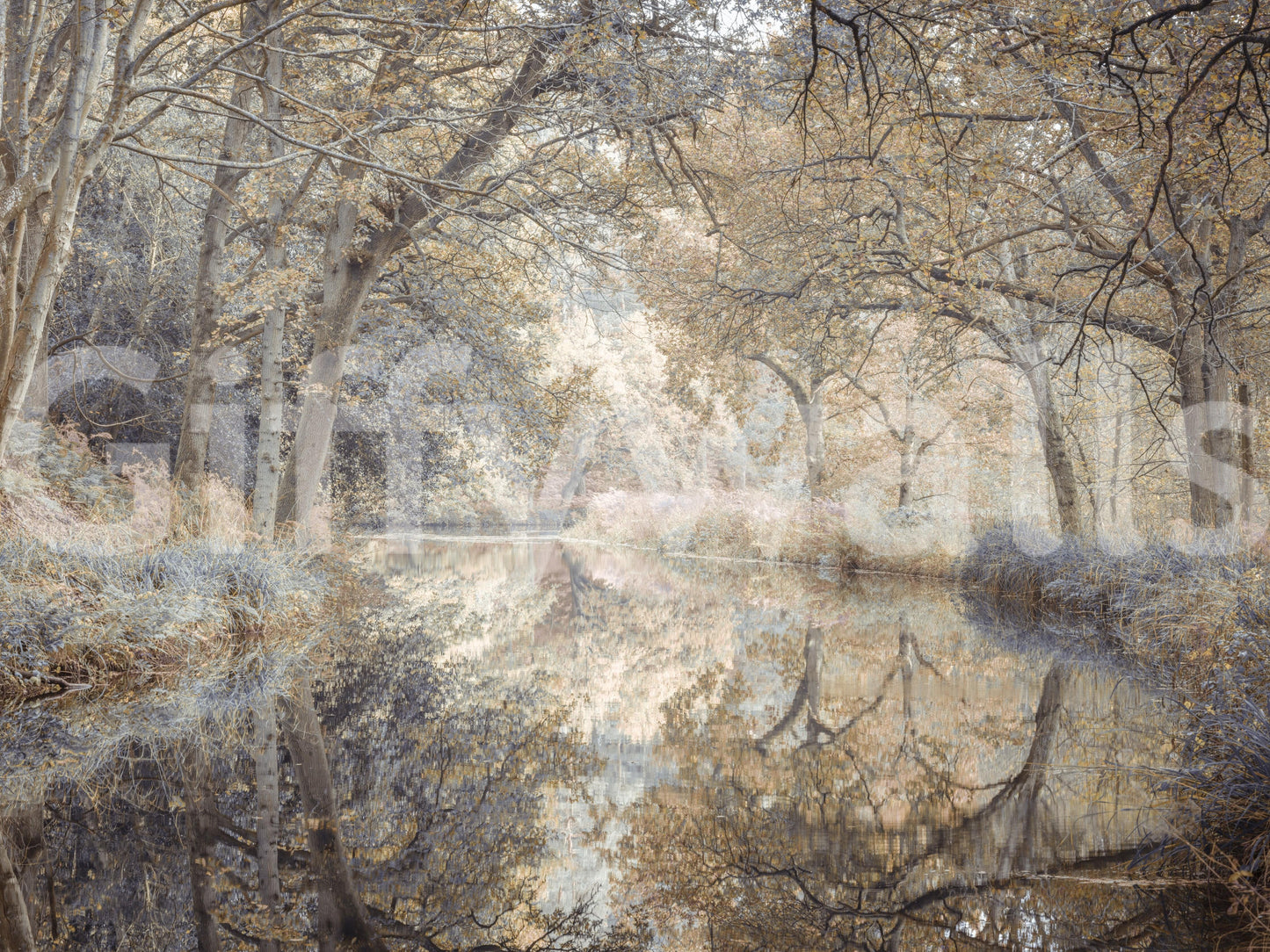 A detail of the warm tones in the grass and sky.