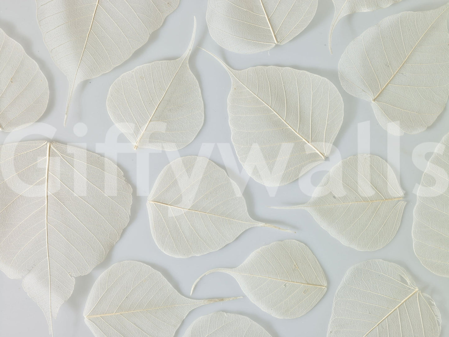 Elegance ethereal white mural unique natural artistry.