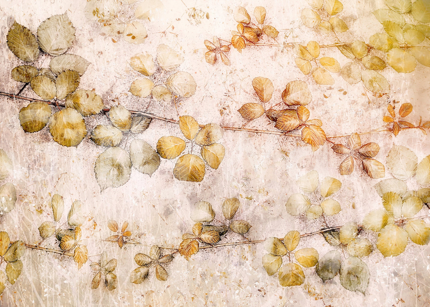 A high-quality serene forest wall mural for walls.