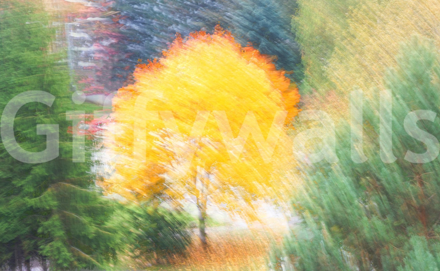 Cozy fall nature wallpaper for walls