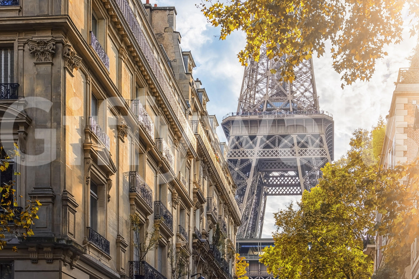 Eiffel's Golden Hour Wall Mural