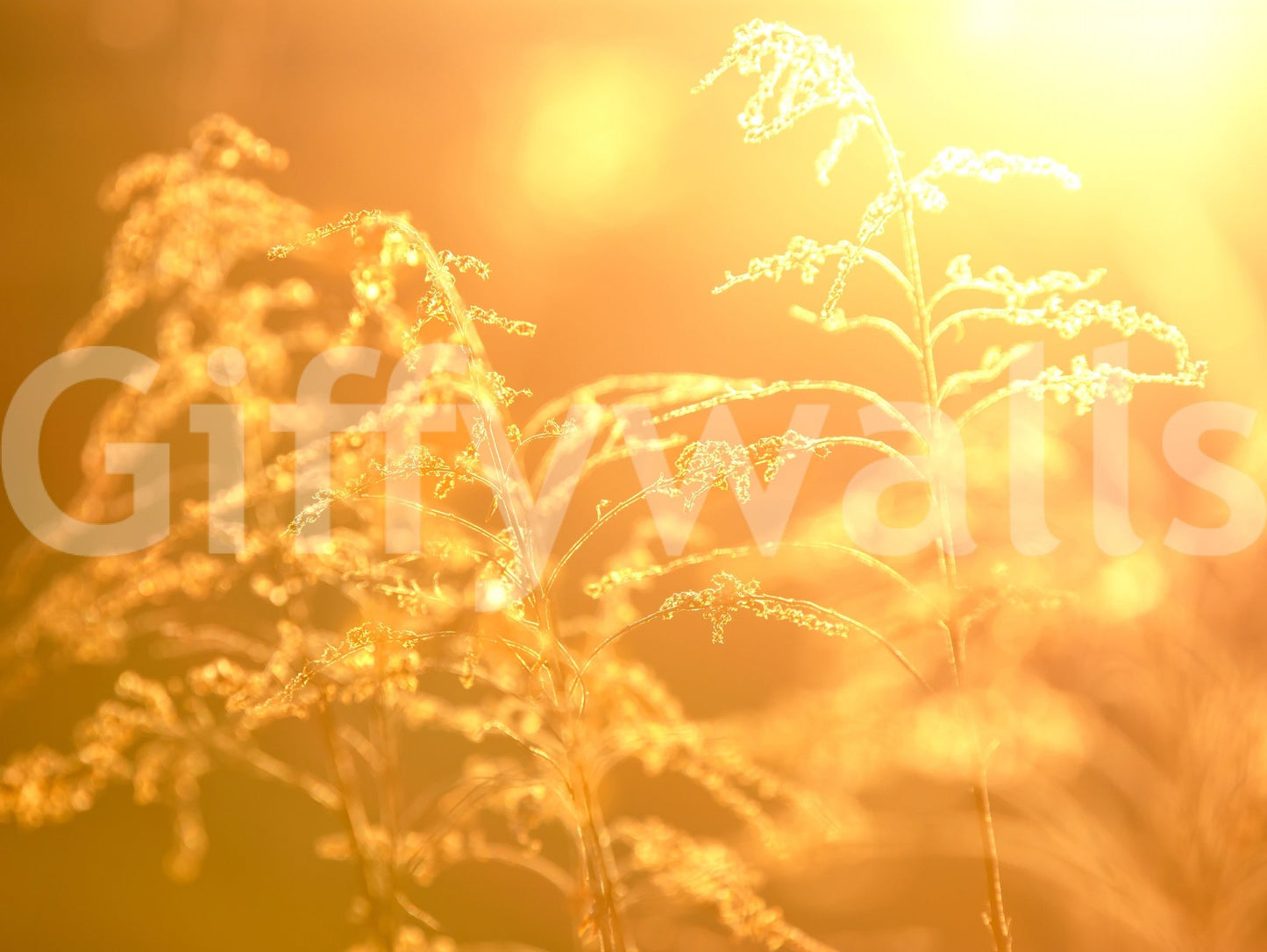 Horizontal format for an expansive view.