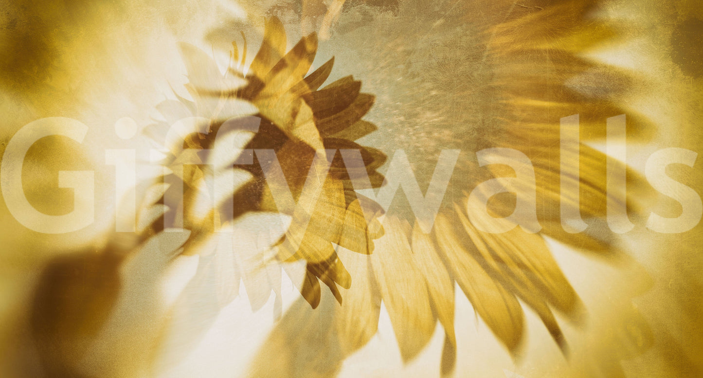 A high-quality serene flower wall mural for walls.