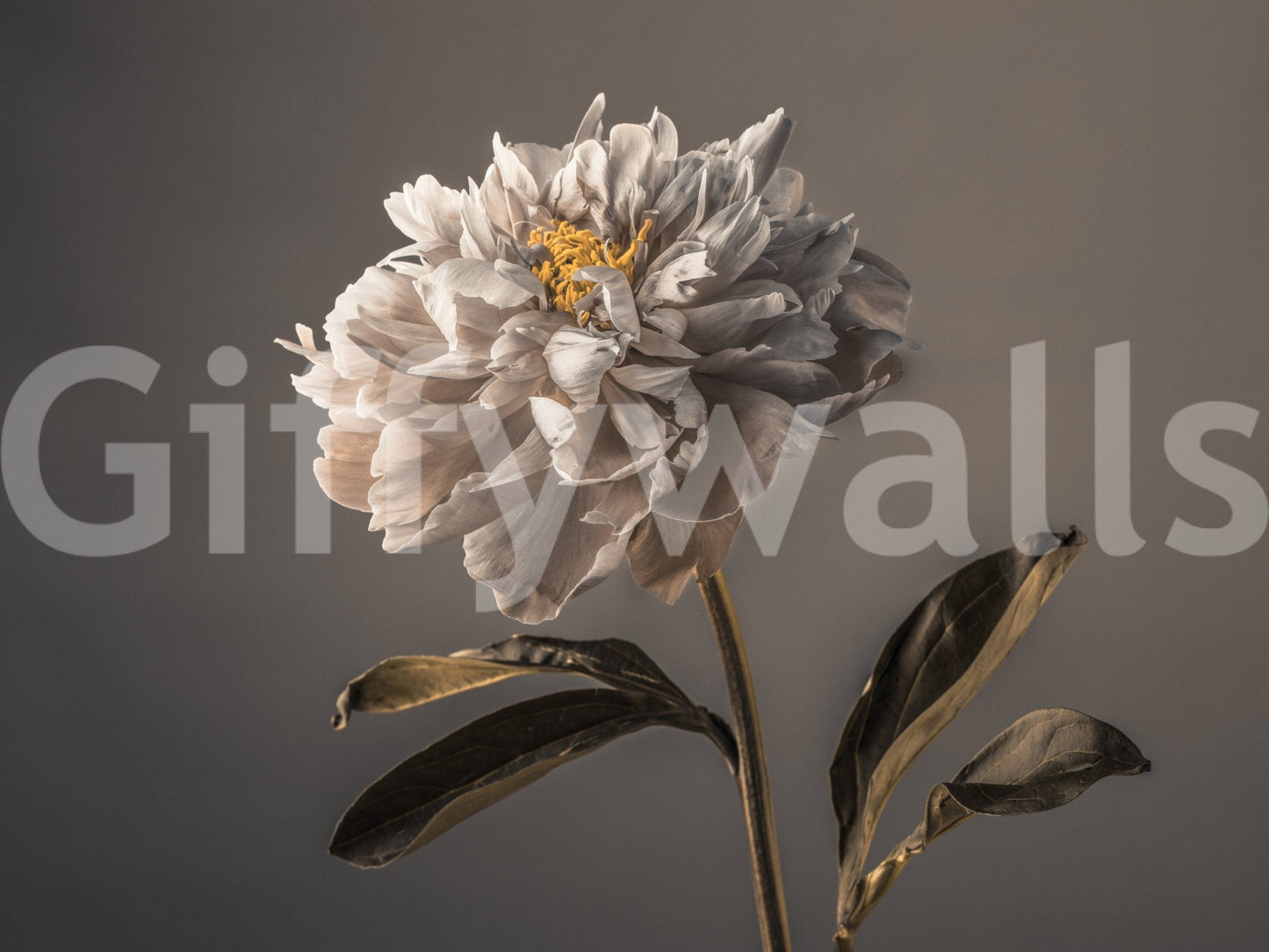 Graceful Blooms Wall Mural