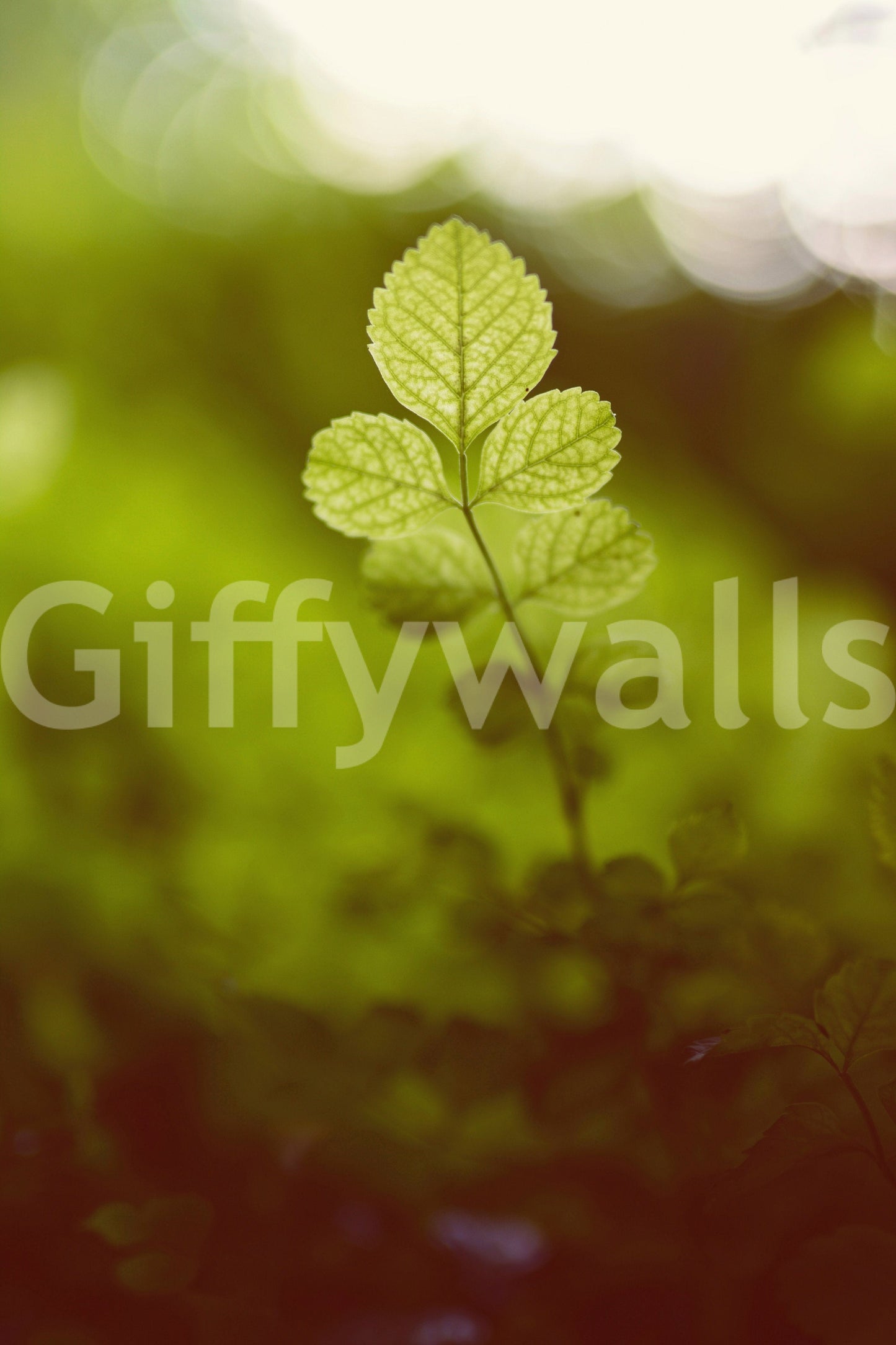 A tranquil abstract leaf mural on the wallpaper.