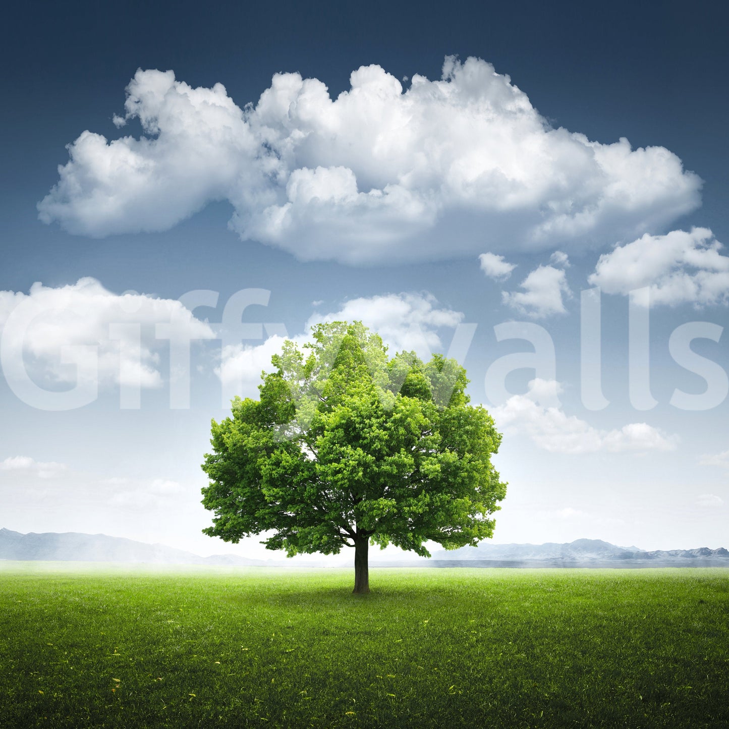 Fields of Green Wall Mural -2213762