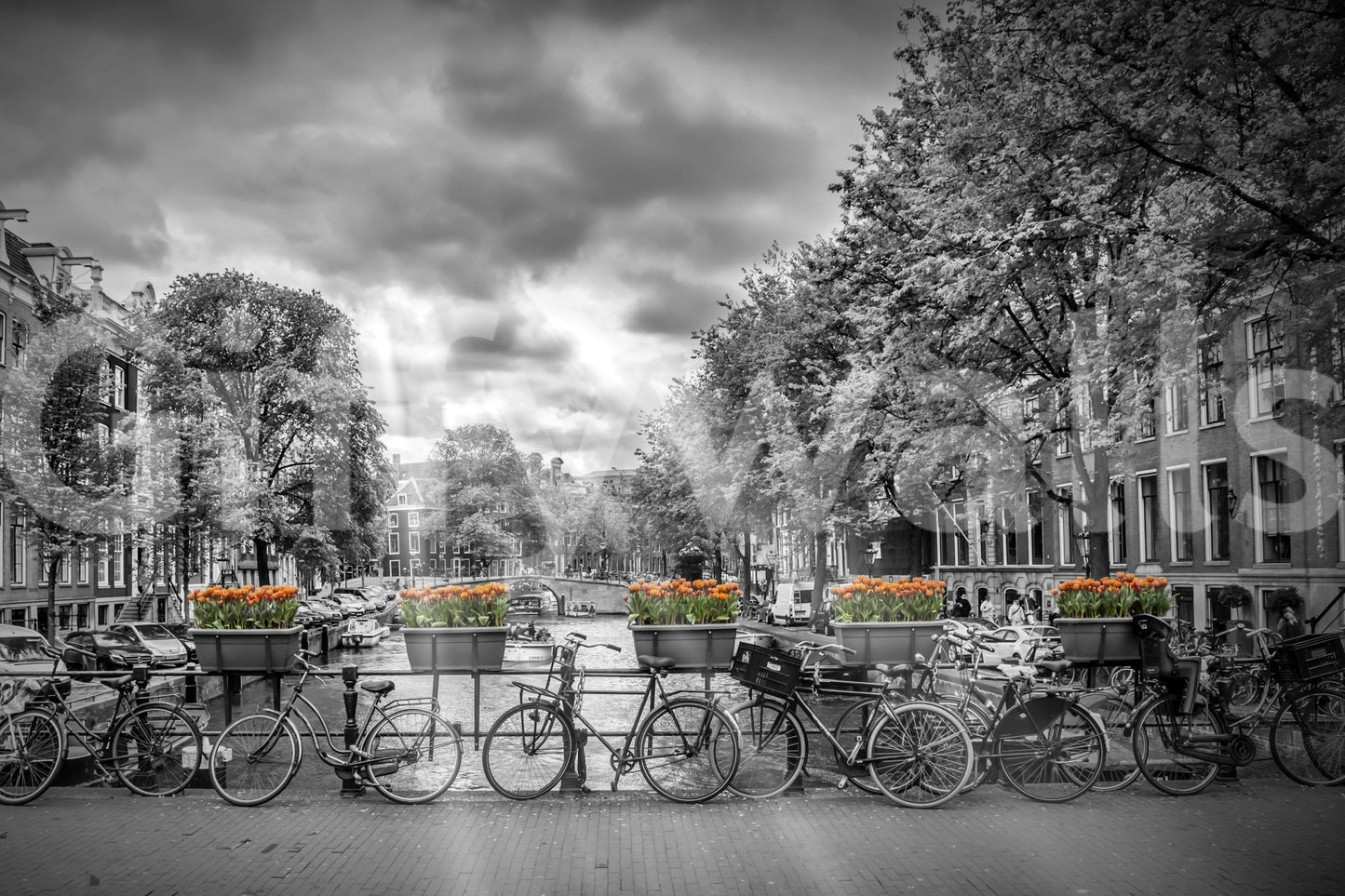 Smooth non‑woven wallpaper mural showing Herengracht façade