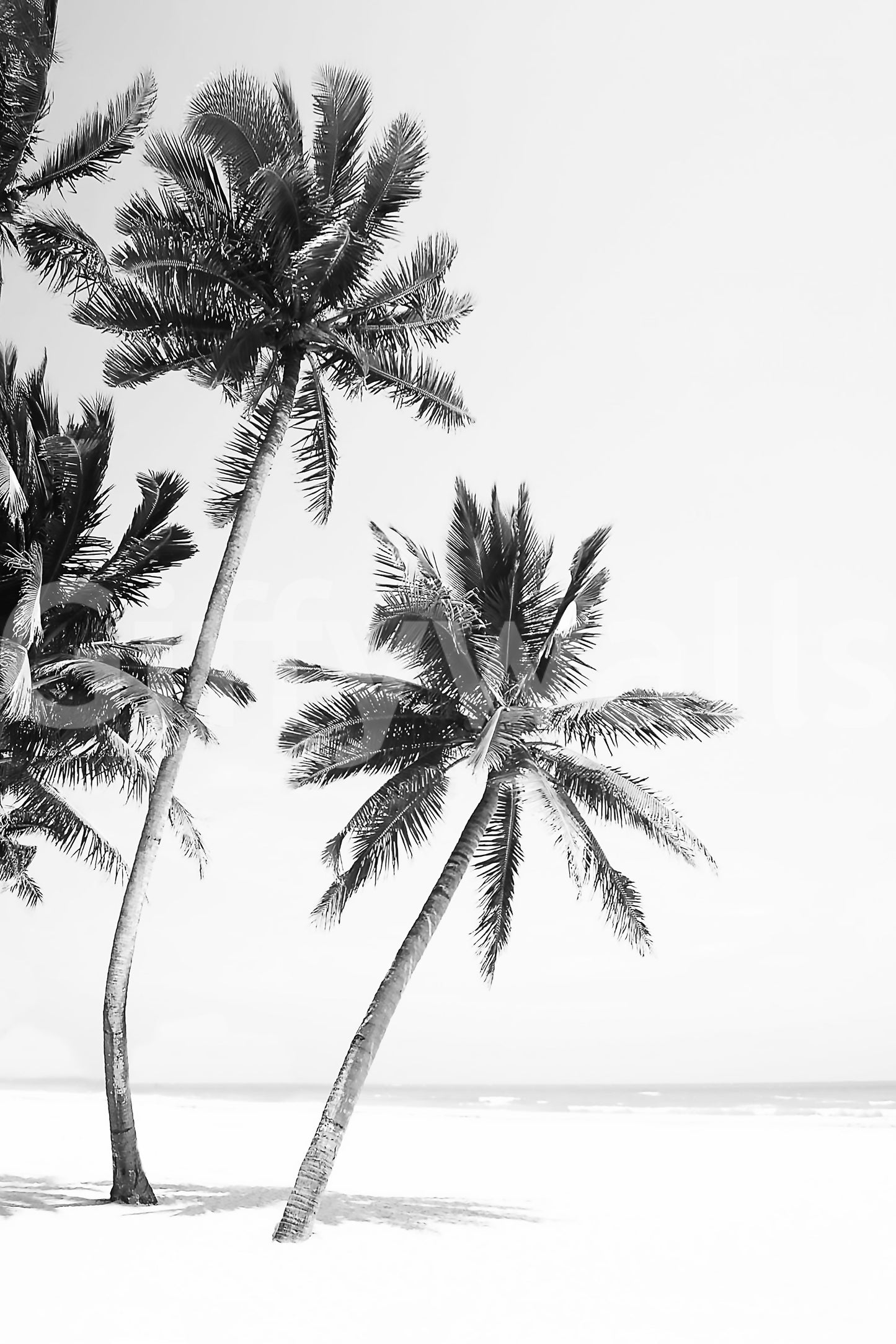 Serene beach island wall covering