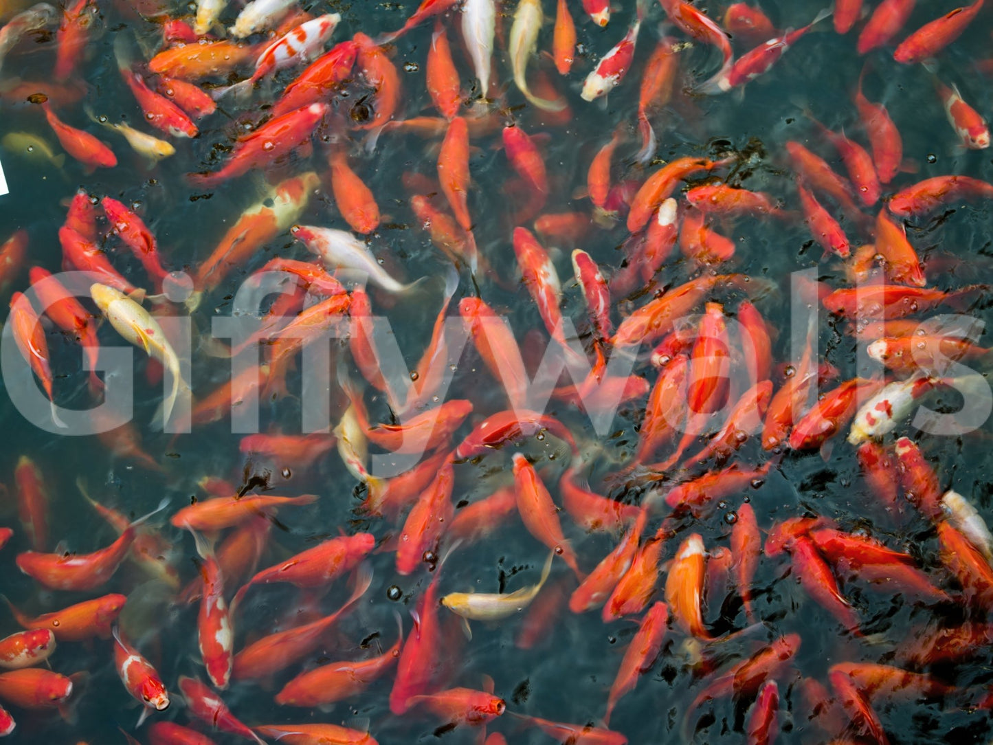 Inviting and calming aesthetic.