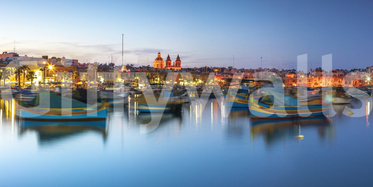 The image captures the natural beauty of a harbor at night.