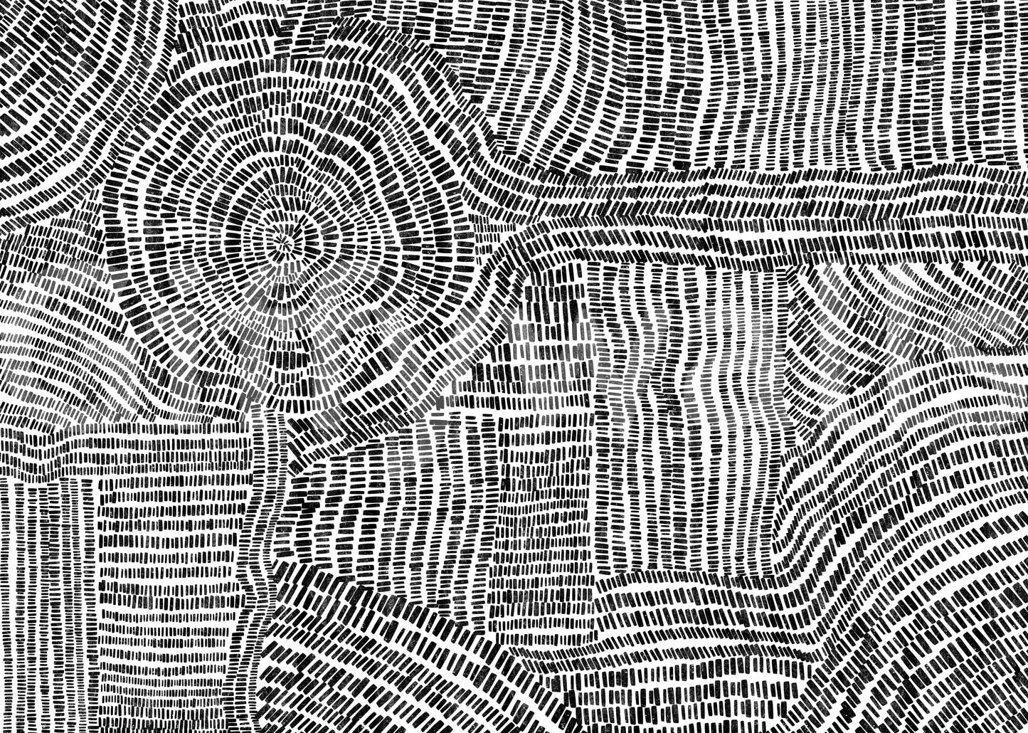 Dash & Dot Maze Wall Mural