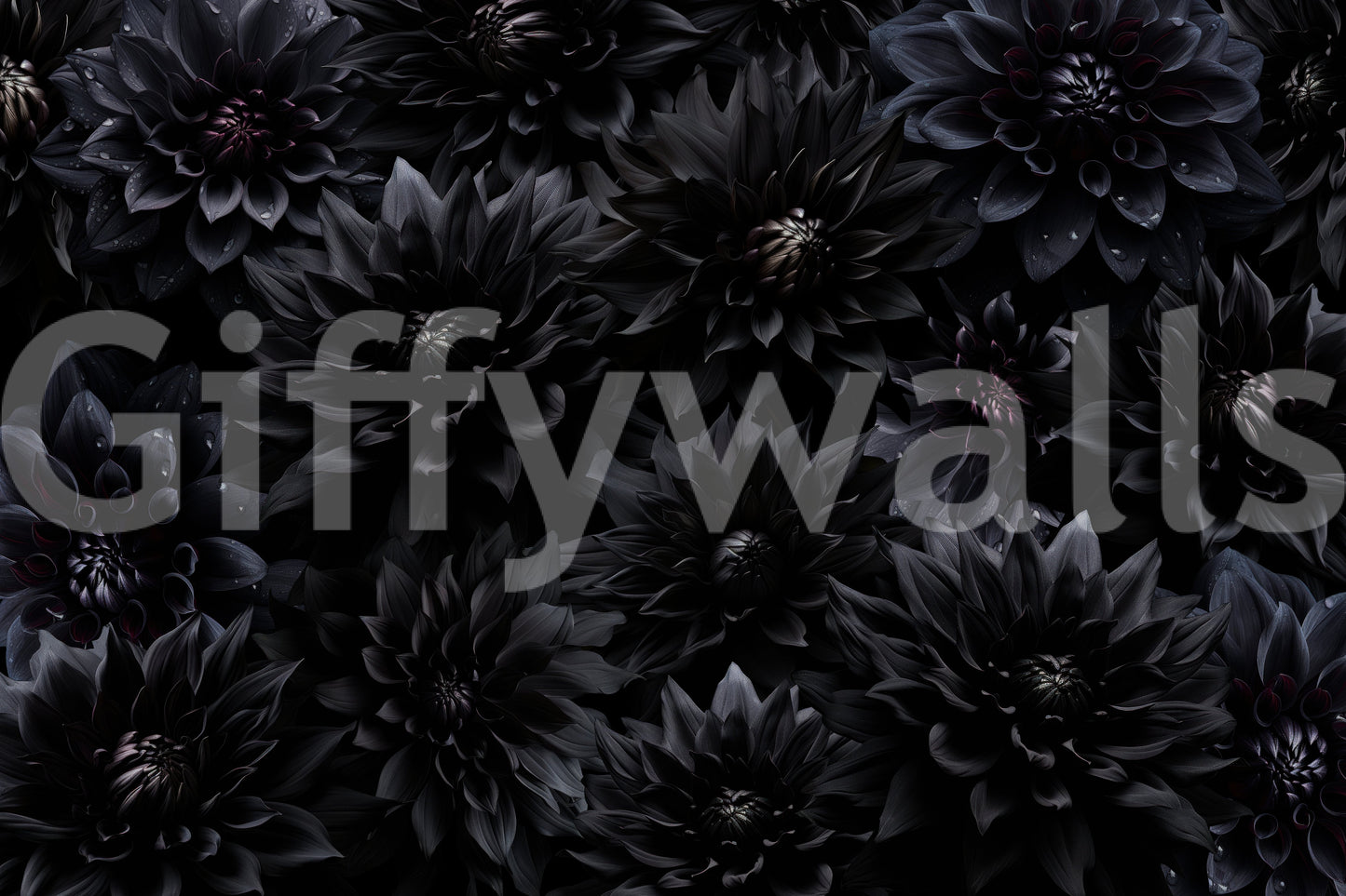 Midnight Bloom floral wallpaper for walls