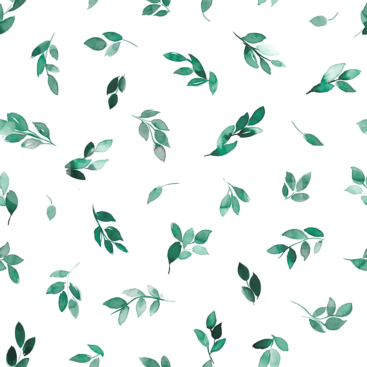 Minimal Leaf Green Eucalyptus Wallpaper