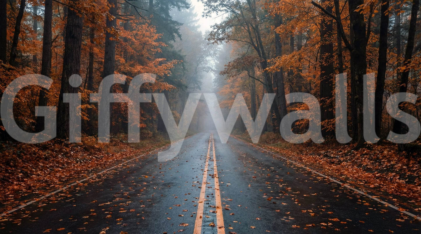 Misty autumn forest road wall mural with wet pavement and orange trees
