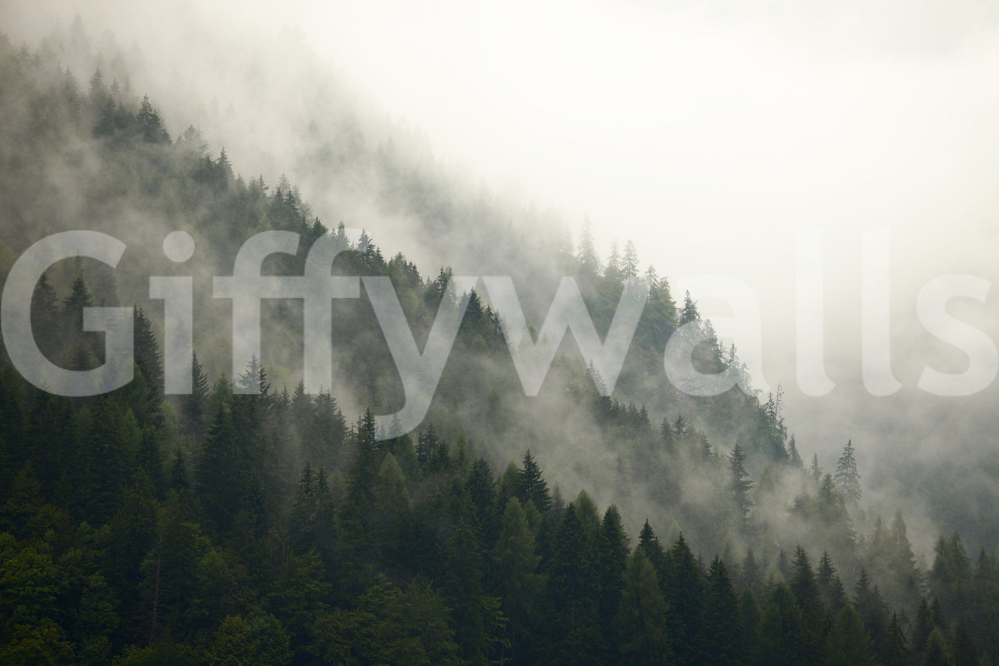 A high-quality minimalist tree wall mural for walls.