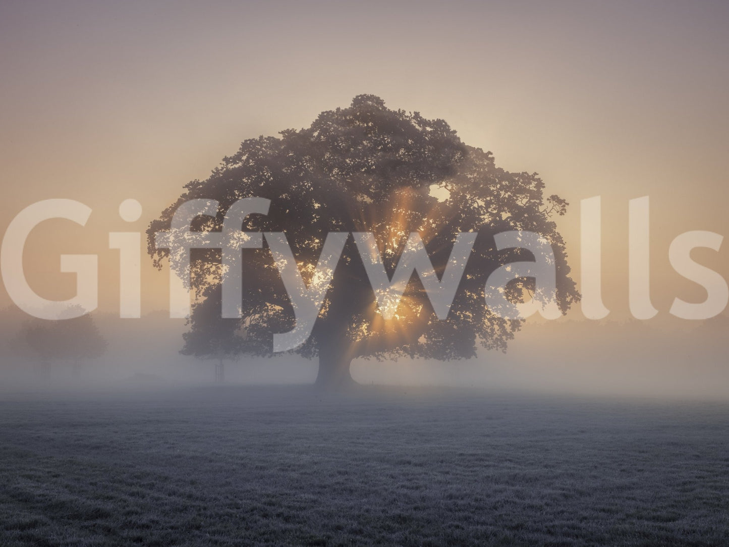 The scene captures the beauty of a new day.