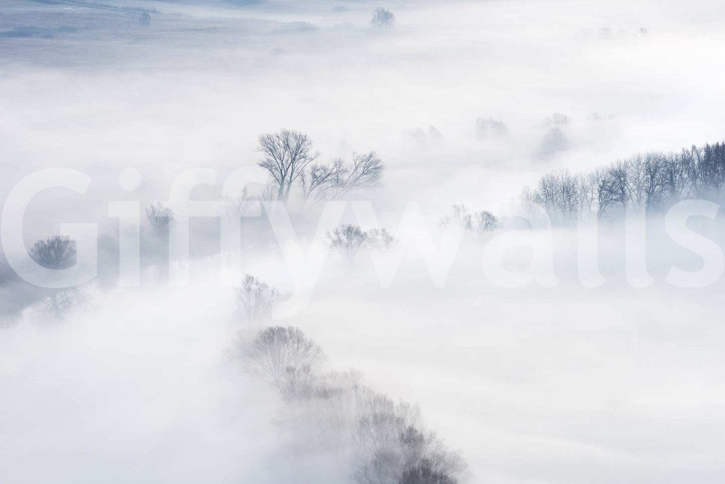 Misty Treescape wallpaper mural close-up of bare winter trees emerging from thick rolling fog in soft blue-white tones
