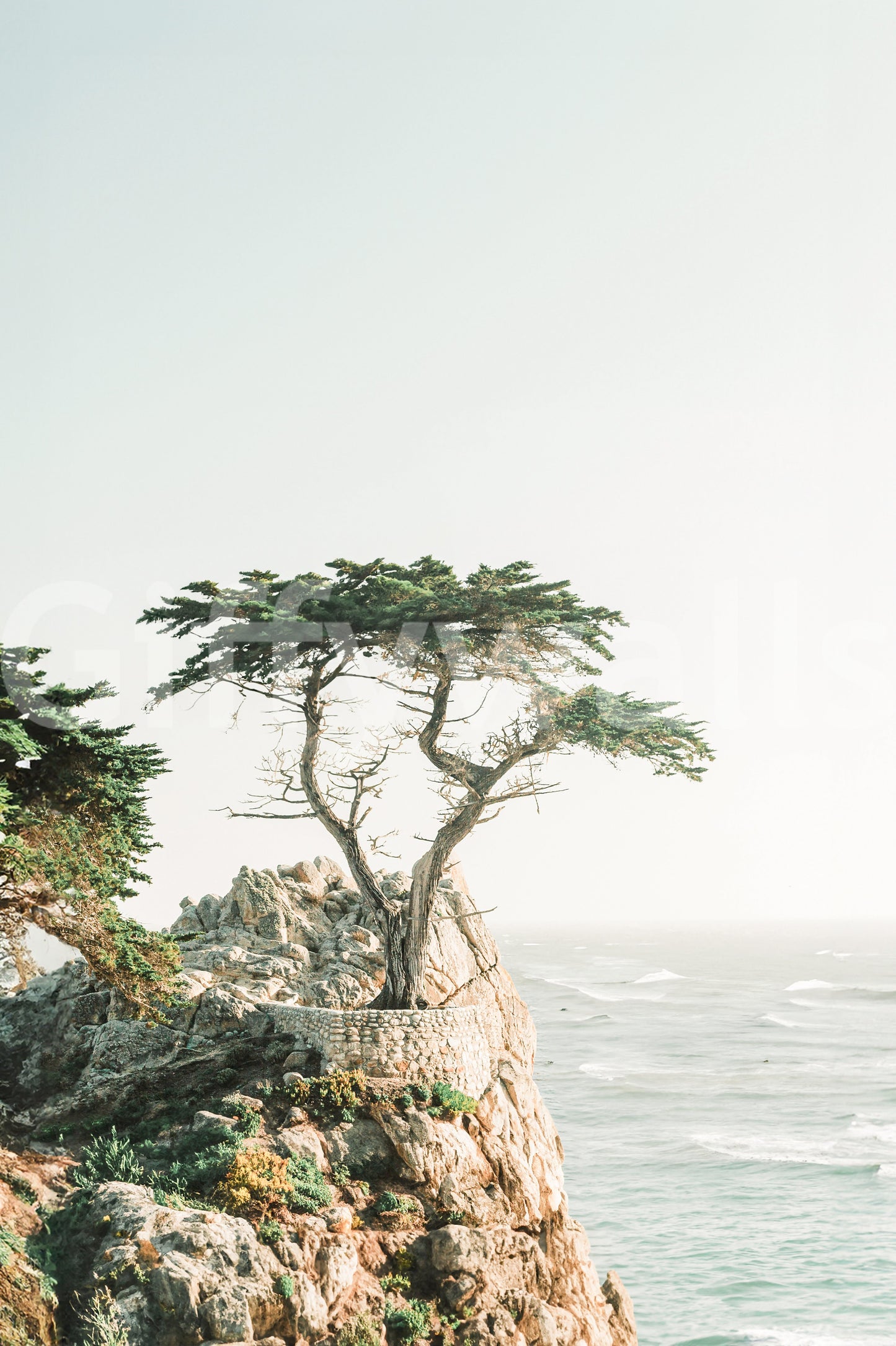 Monterey Wall Mural