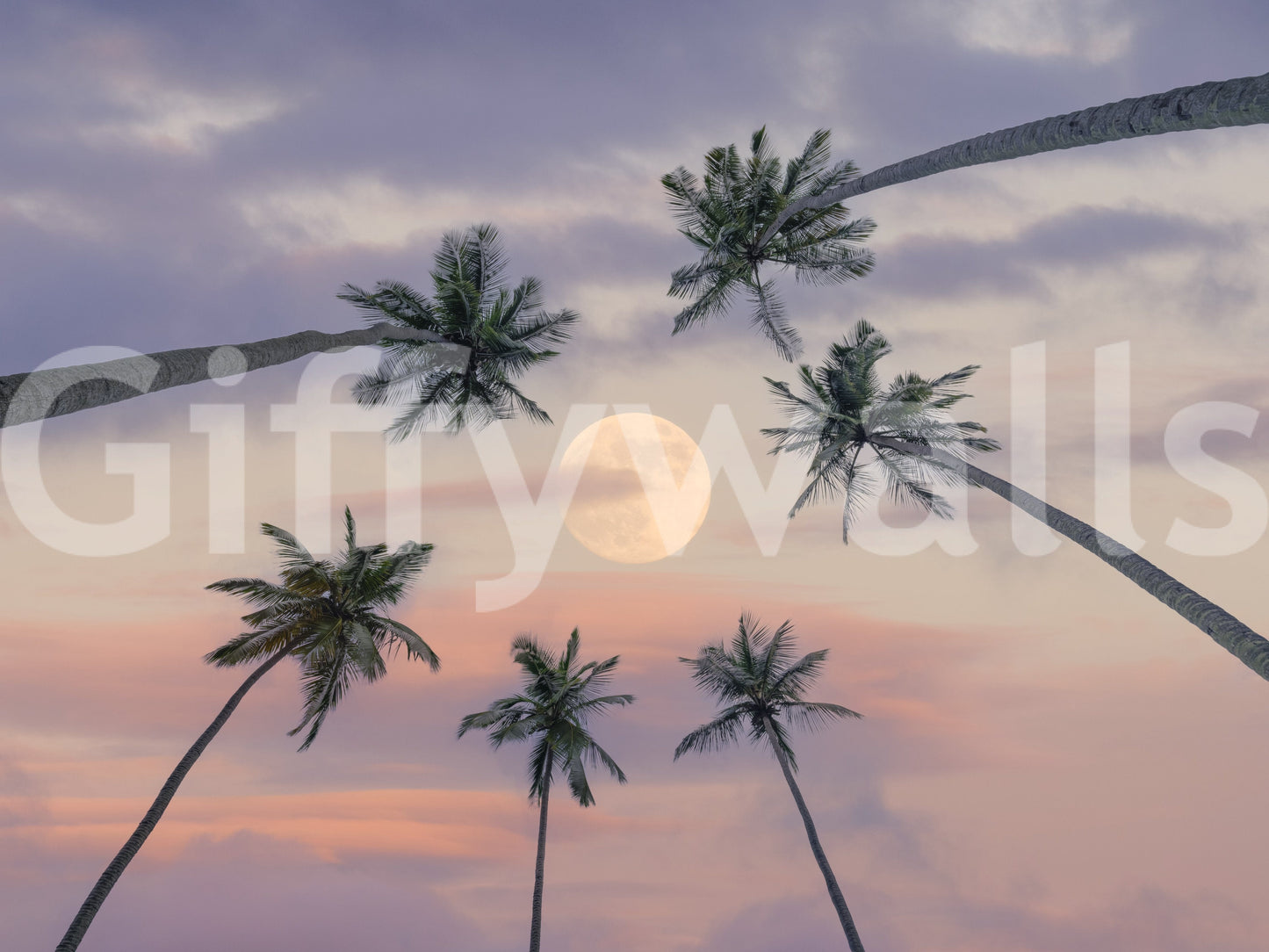 A high-quality tropical palm wall mural for walls.