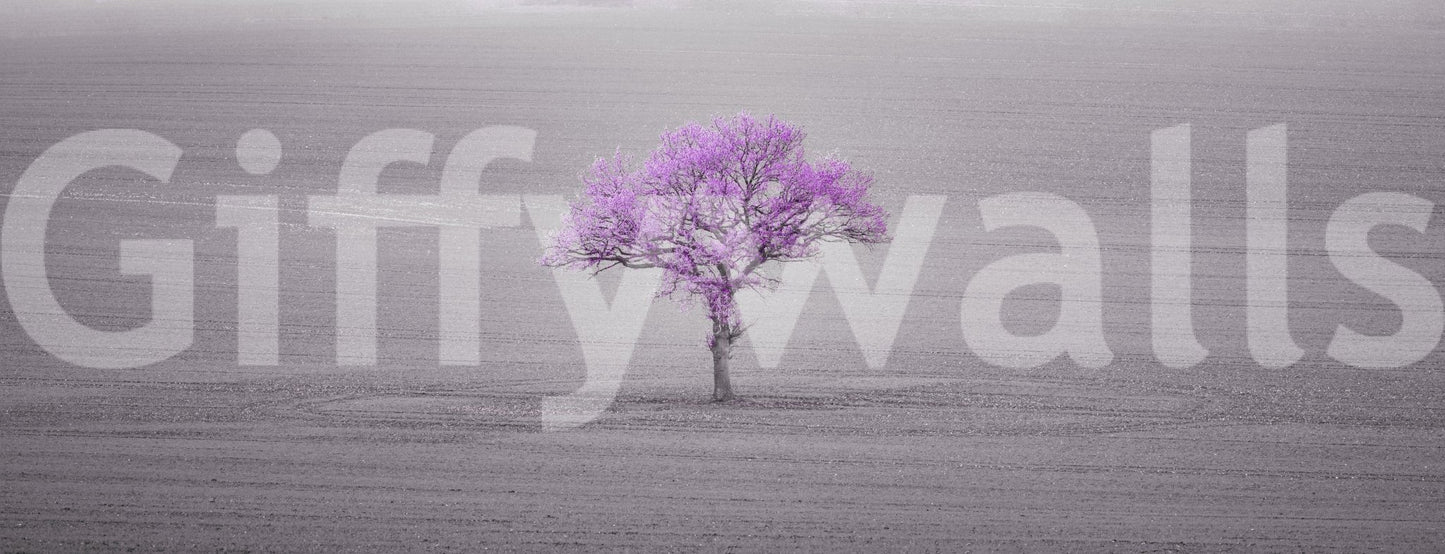 soft and calming floral scene