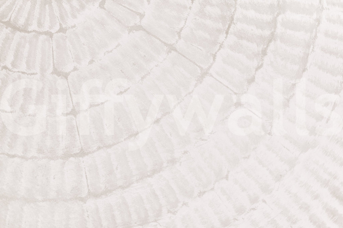 Oyster Shell Echo Wall Mural -2306169