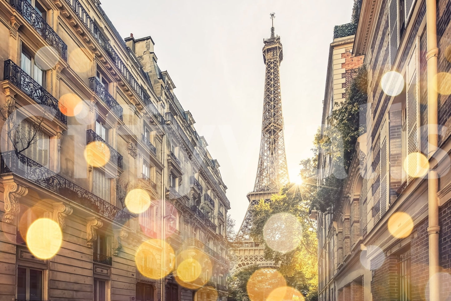 Parisian Glow Wall Mural