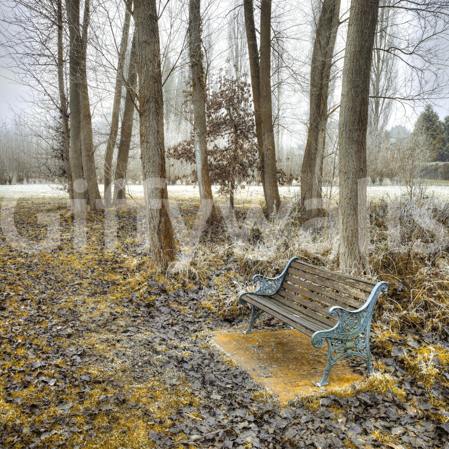 Melancholy park fixture wall mural, late autumn atmosphere.