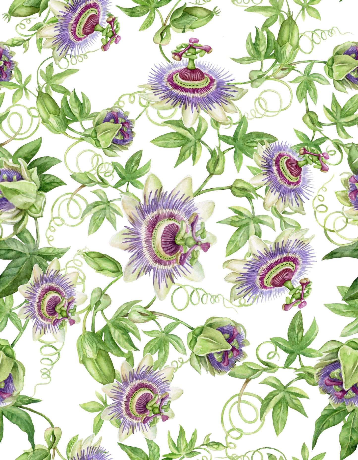 Elegant Passionflower Dream wall print luxury wall covering.